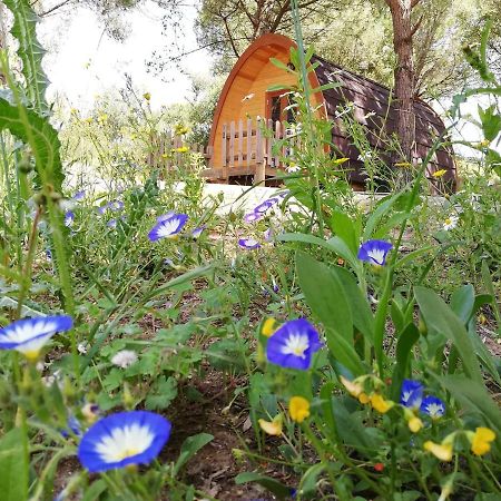 Glamping Sintra Hotel Eksteriør billede