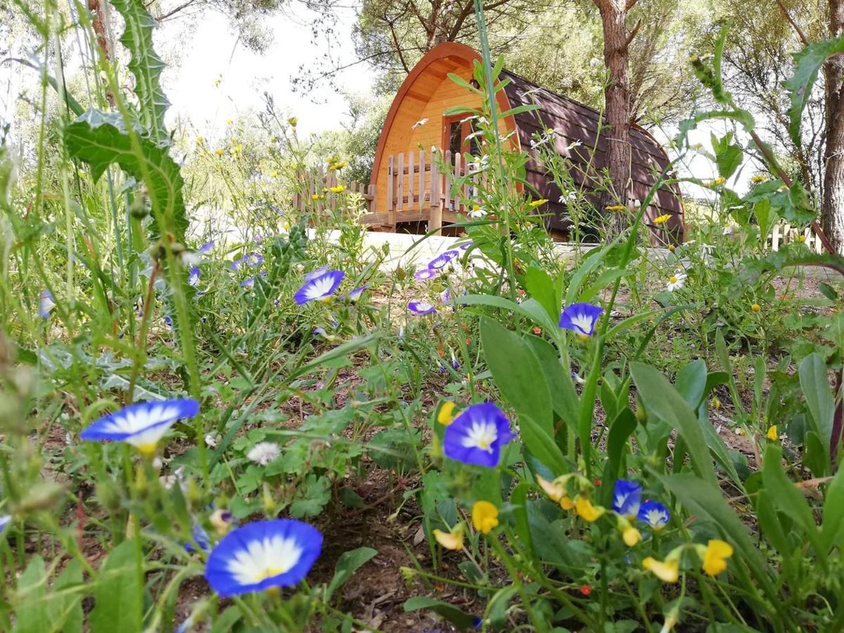 Glamping Sintra Hotel Eksteriør billede