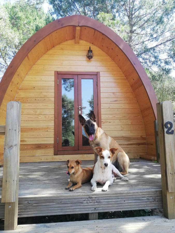 Glamping Sintra Hotel Eksteriør billede